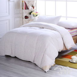 CM水星家紡床上用品價格查詢與購買指南 聚焦1630元以上商品及比價返利